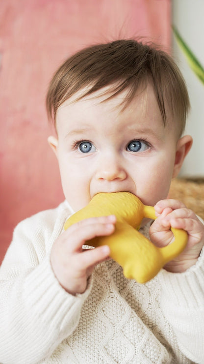 Oli & Carol x Donna Wilson Richie Lion Teether - Toby Tiger
