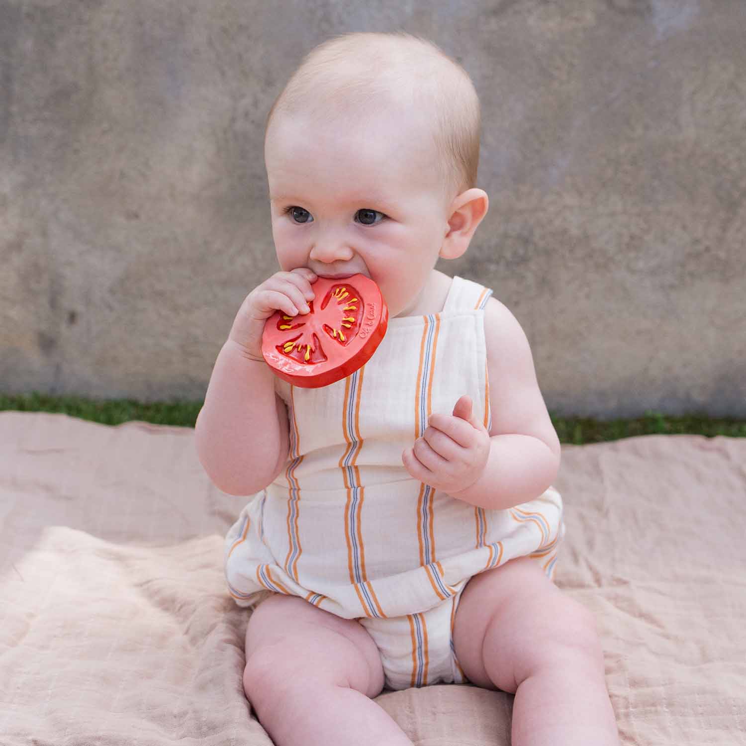 Oli & Carol Renato the Tomato Teether - Toby Tiger