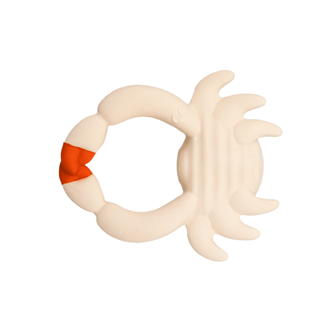 Oli & Carol x BIGSTUFFED Sharon the Crab Bath Toy - Toby Tiger