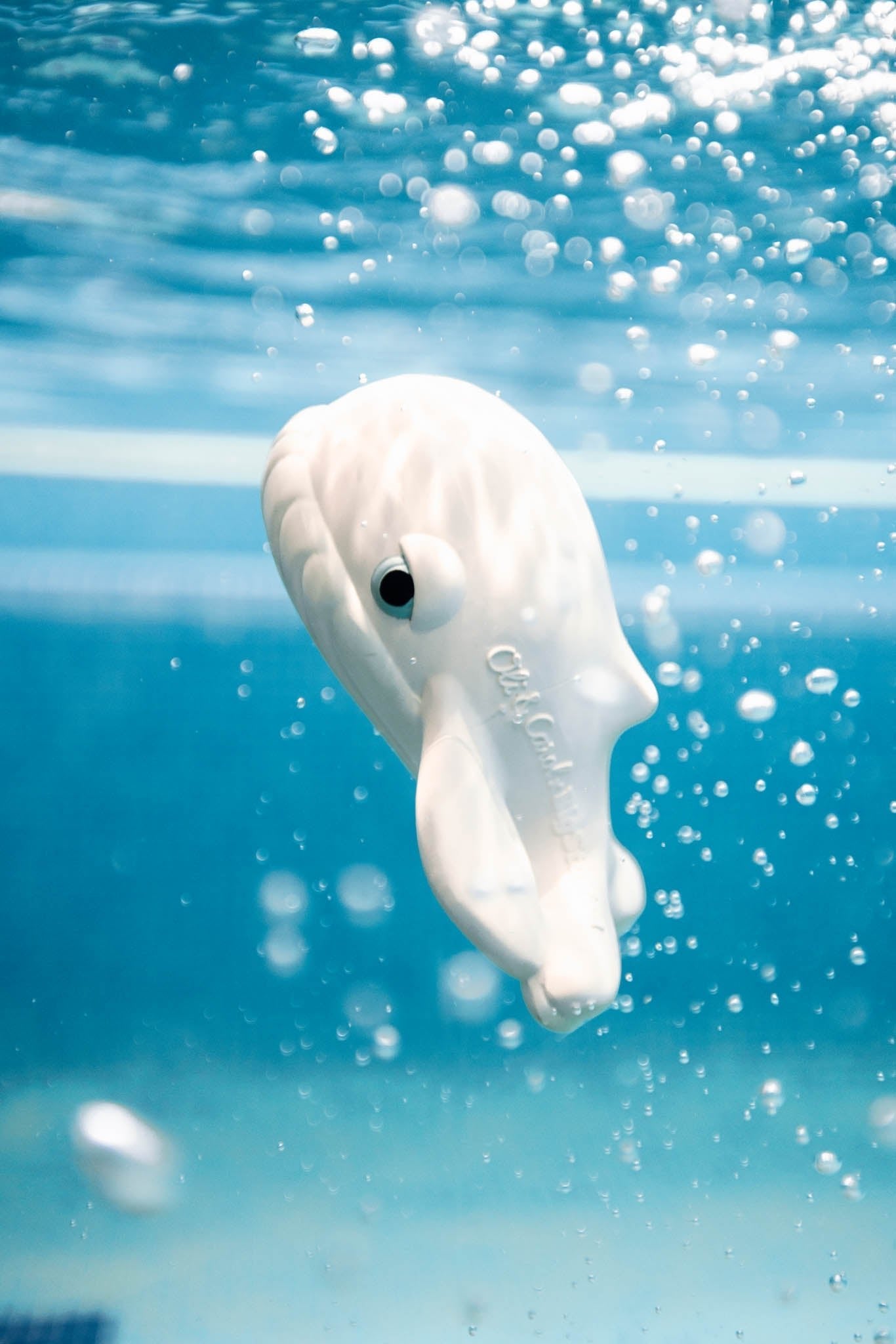 Oli & Carol x BIGSTUFFED Walter the Whale Bath Toy - Toby Tiger