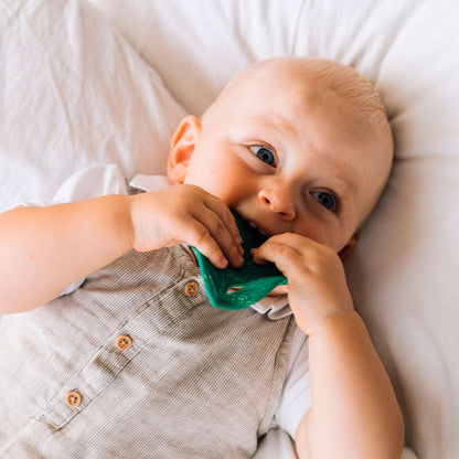 Oli & Carol Chlorophyll Leaf Teether - Toby Tiger