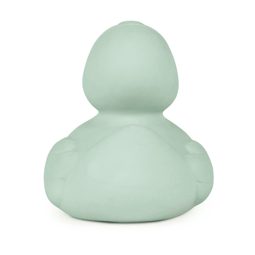 Oli & Carol Small Ducks Monochrome Mint - Toby Tiger UK