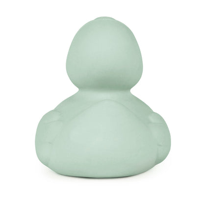Oli & Carol Small Ducks Monochrome Mint - Toby Tiger UK