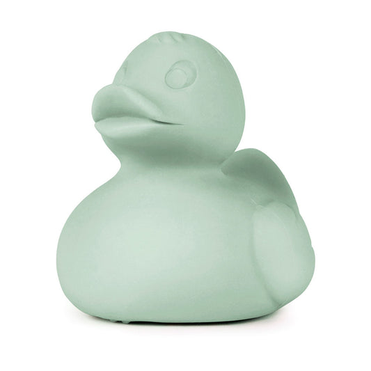 Oli & Carol Small Ducks Monochrome Mint - Toby Tiger UK