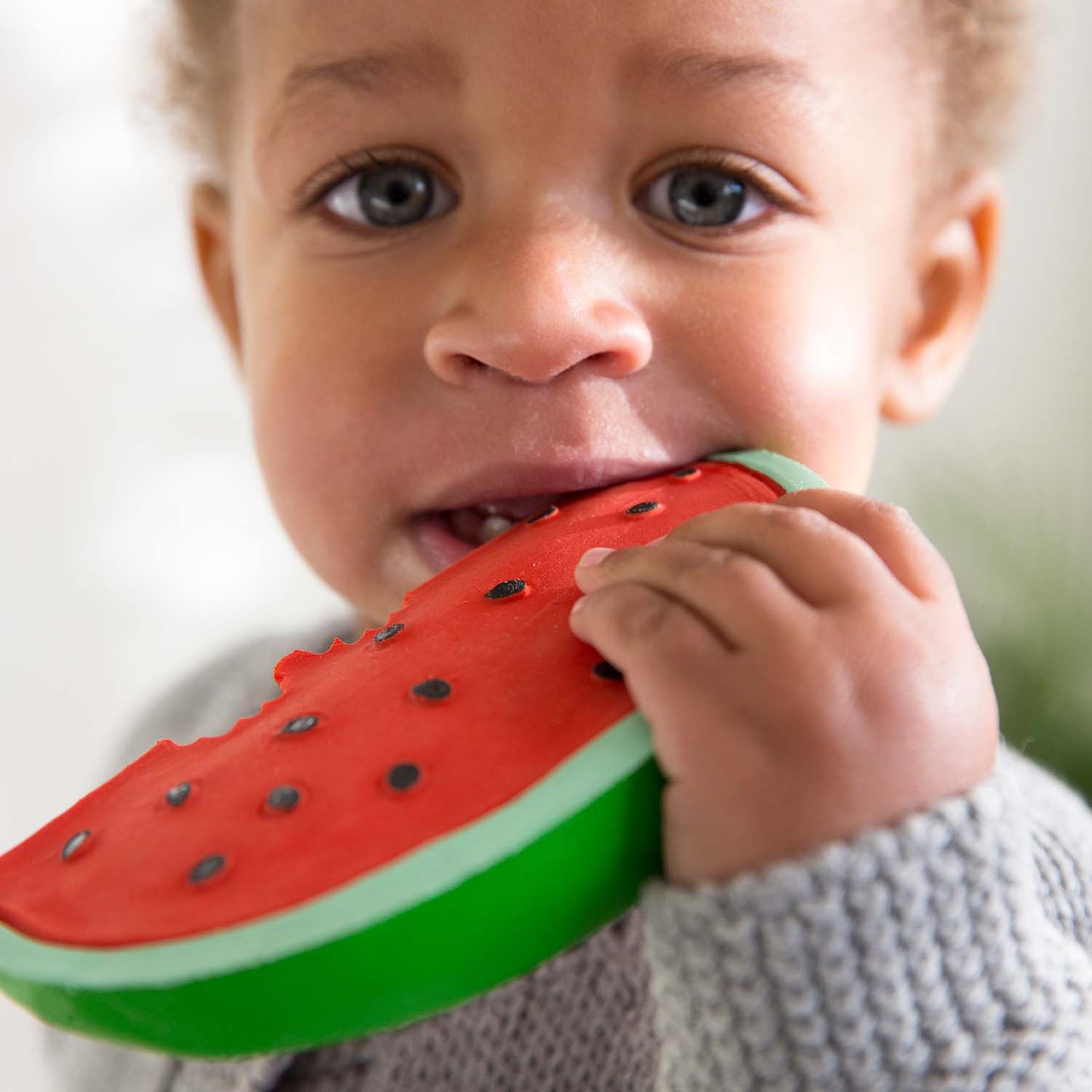 Oli & Carol Wally the Watermelon Teether - Toby Tiger