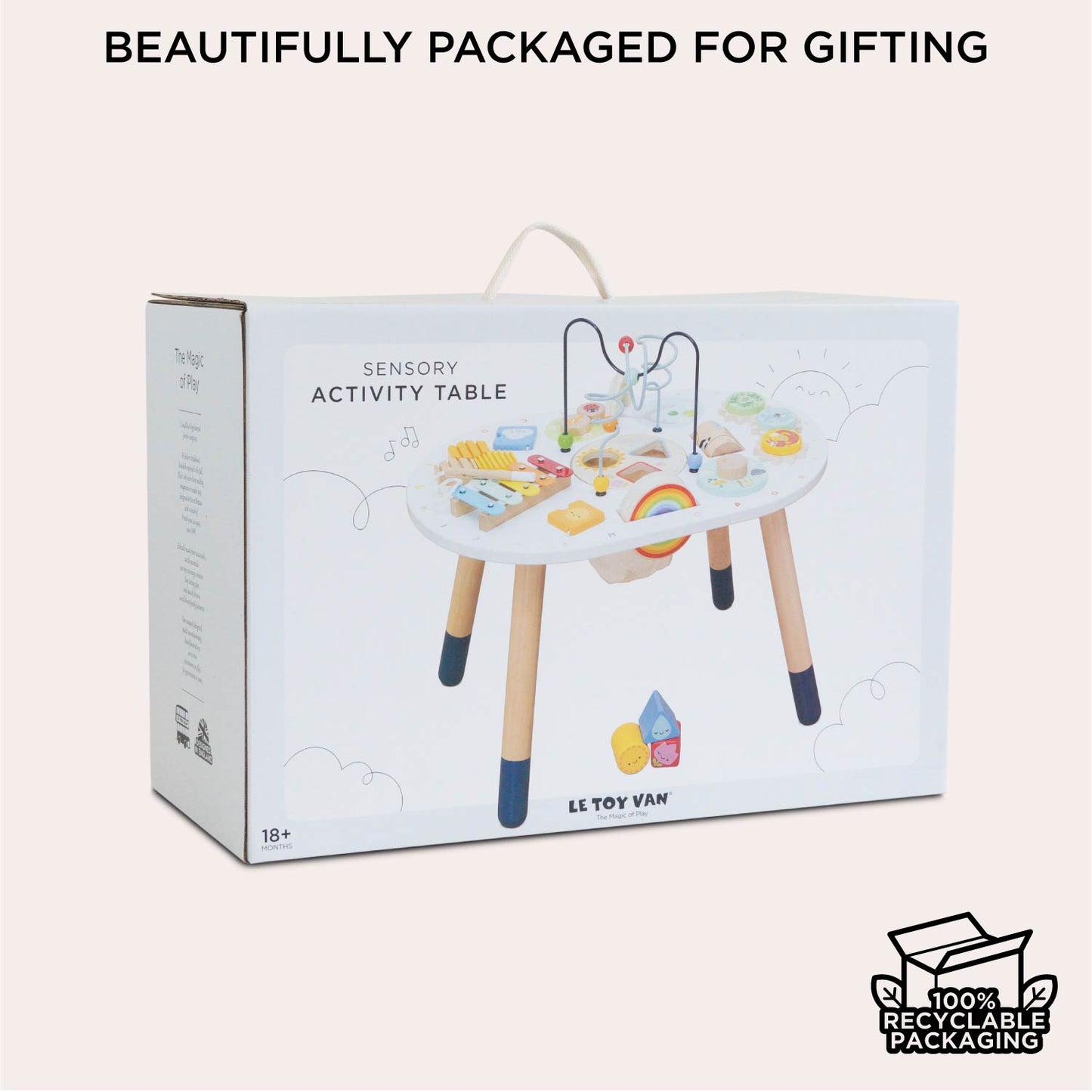 Sensory Activity Table - Toby Tiger