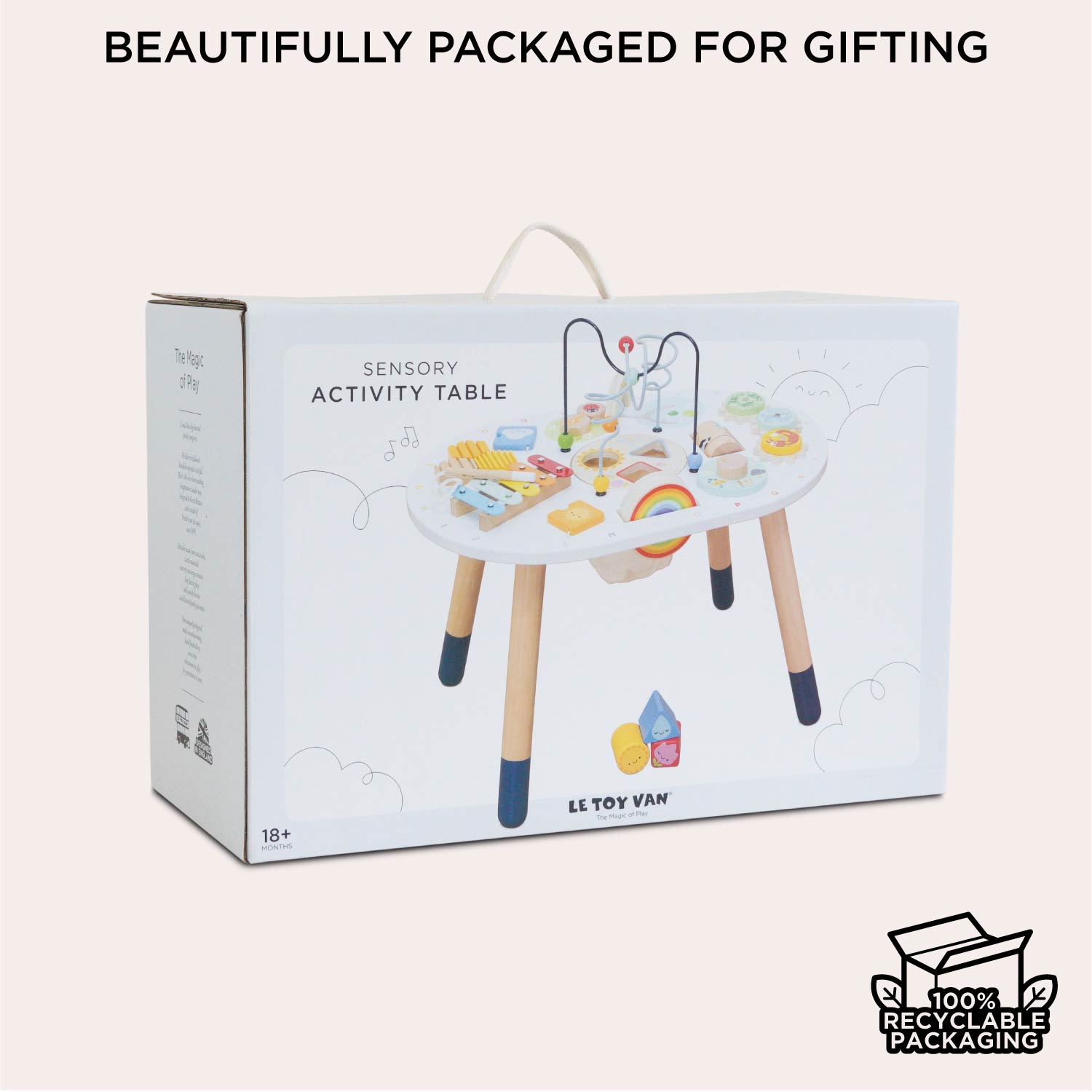 Sensory Activity Table - Toby Tiger