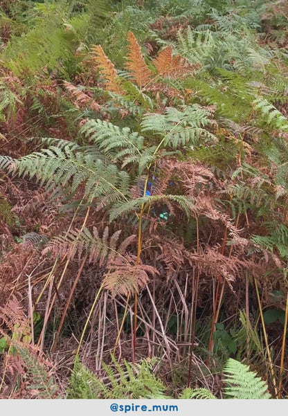 Organic Brown Bear Applique Long-Sleeved T-Shirt