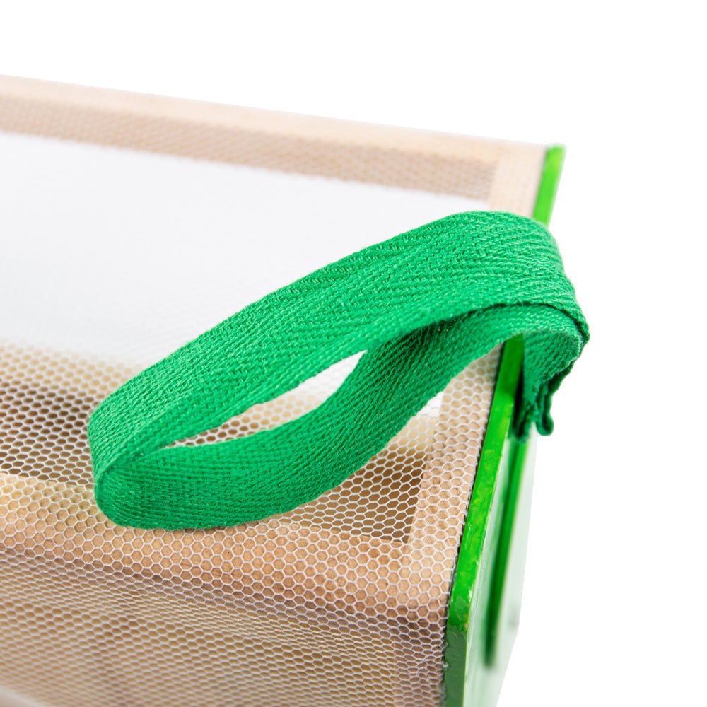 Bug Box - Toby Tiger