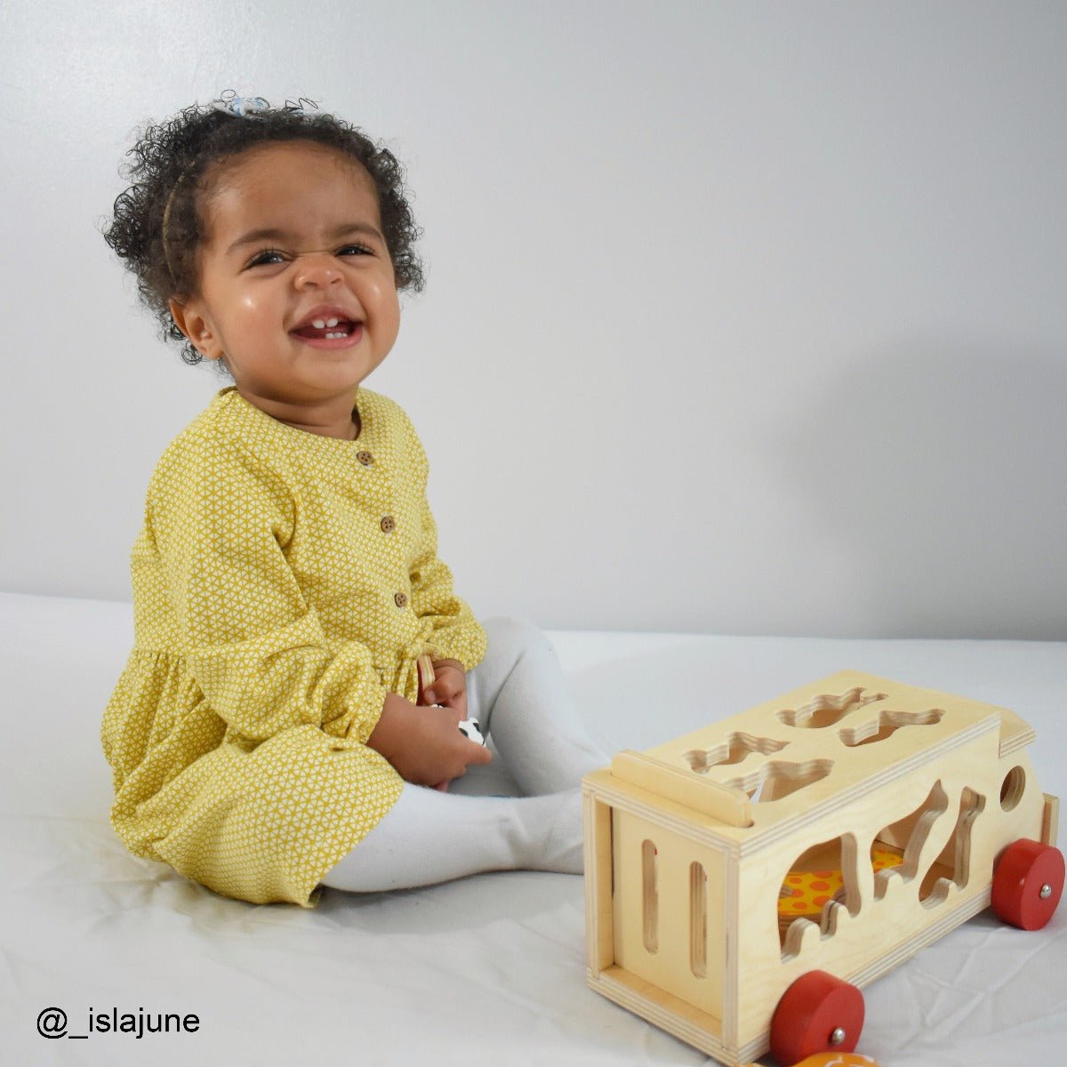 Animal Shape Lorry - Wooden Toy - Toby Tiger