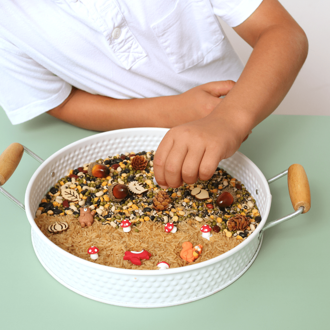 Woodland Sensory Kit - Toby Tiger