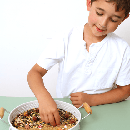 Woodland Sensory Kit - Toby Tiger