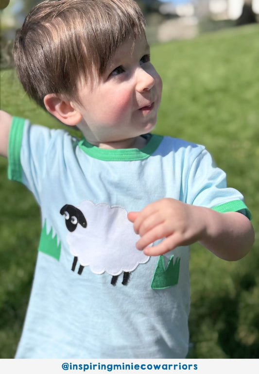 Organic Sheep Applique Short - Sleeved T-Shirt - Toby Tiger
