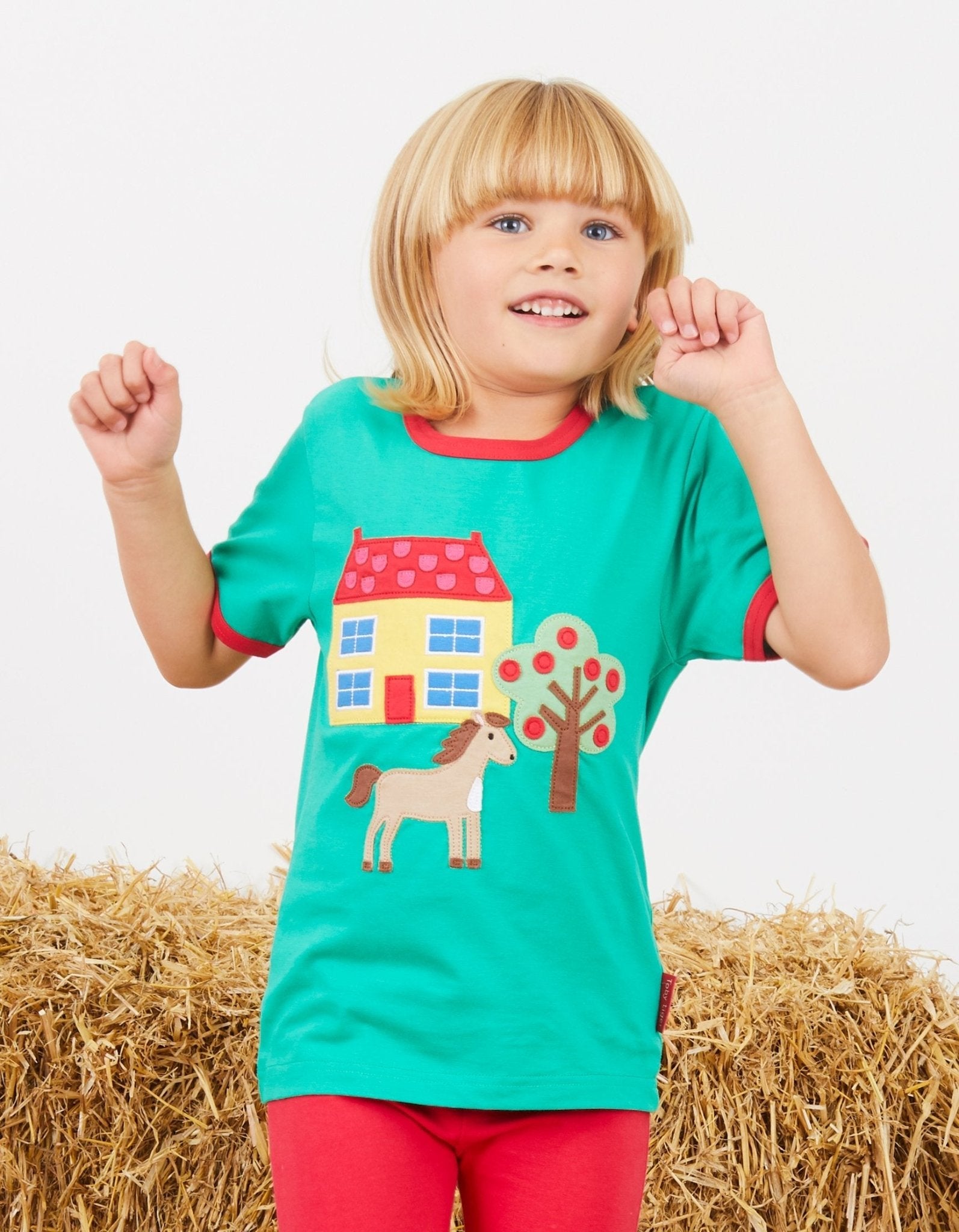 Organic Animal Farm Applique Short Sleeved T Shirt