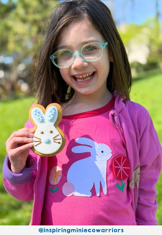 Organic Bunny Applique Lift The Flap Short - Sleeved T-Shirt - Toby Tiger