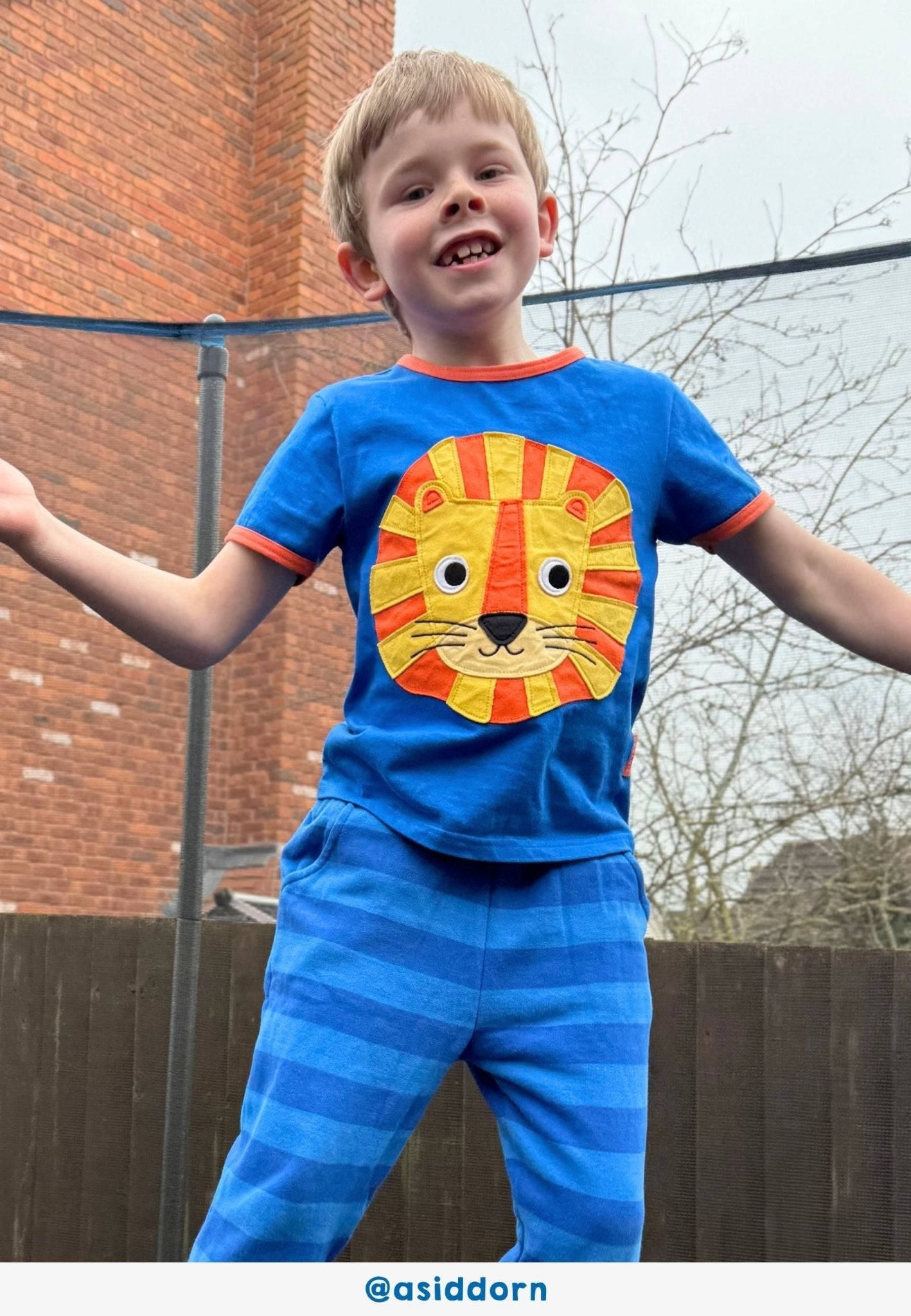 Organic Lion Head Applique Short - Sleeved T-Shirt - Toby Tiger