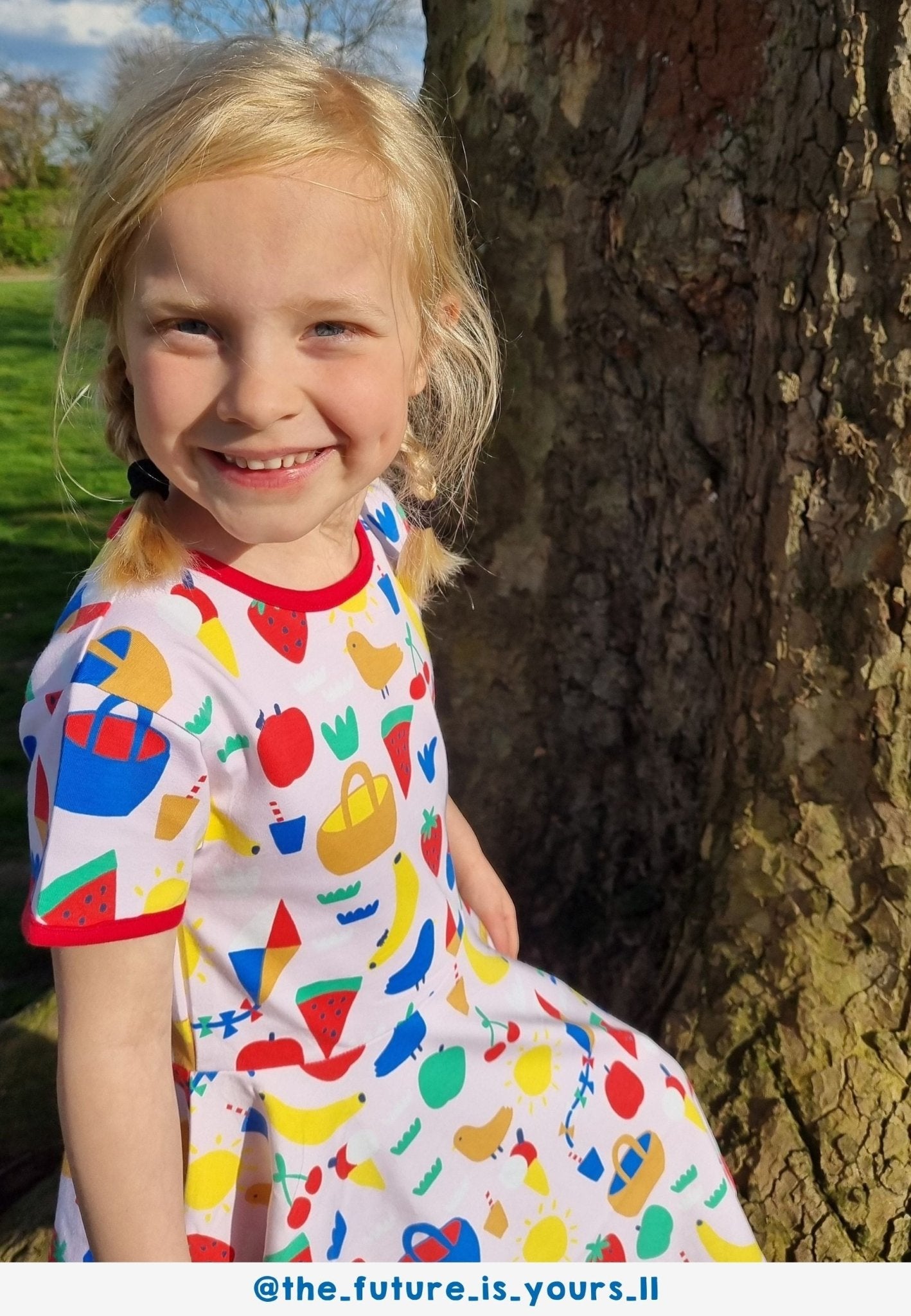 Organic Picnic Print Short Sleeved Skater Dress - Toby Tiger