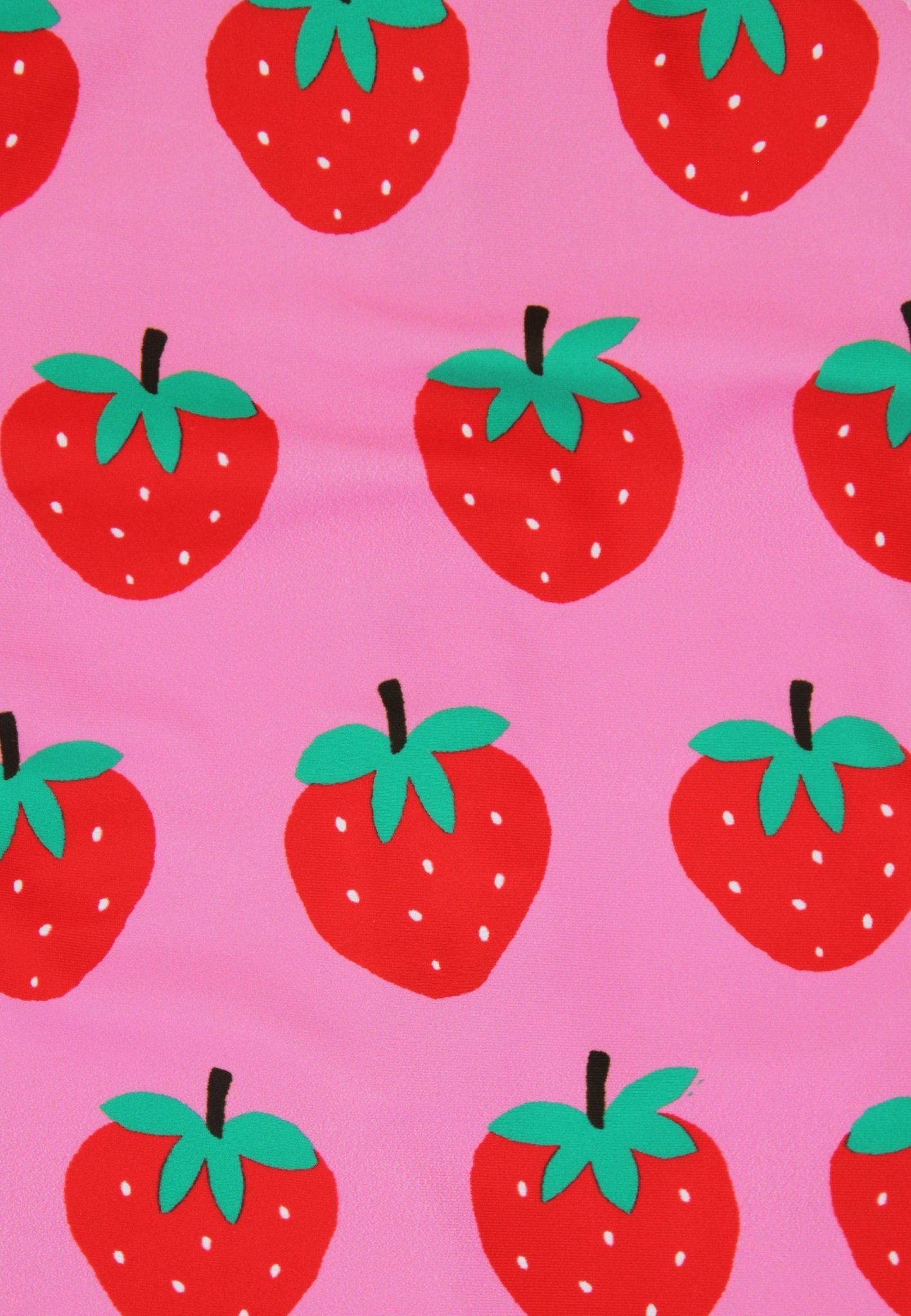 Strawberry Print Swimsuit - Toby Tiger