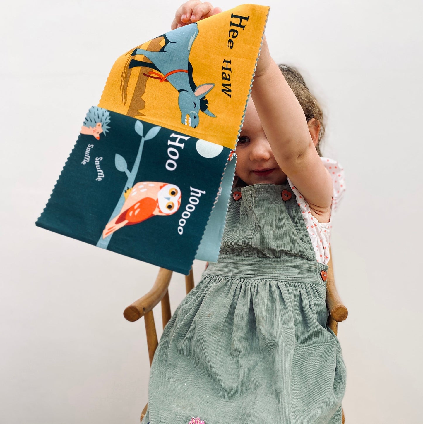 The Noisy Farmyard Rag Book - Toby Tiger