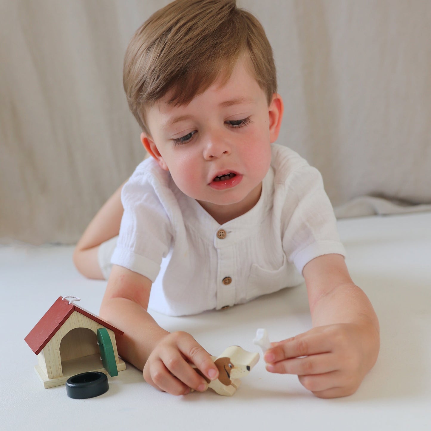 Pet Dog Set - Toby Tiger