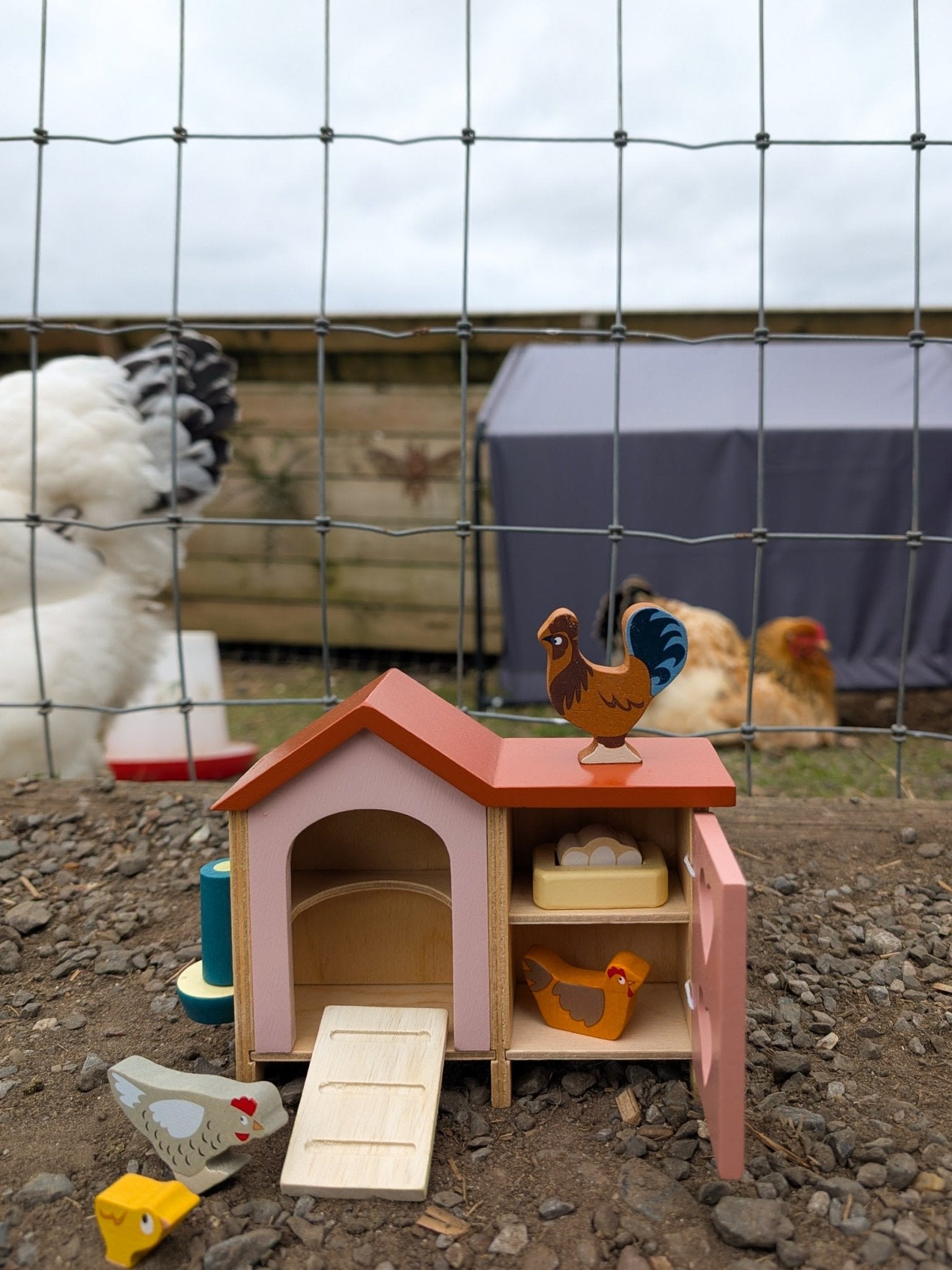 Chicken Coop - Toby Tiger UK
