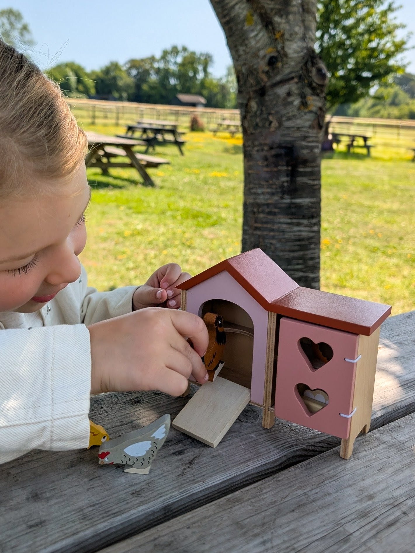 Chicken Coop - Toby Tiger UK