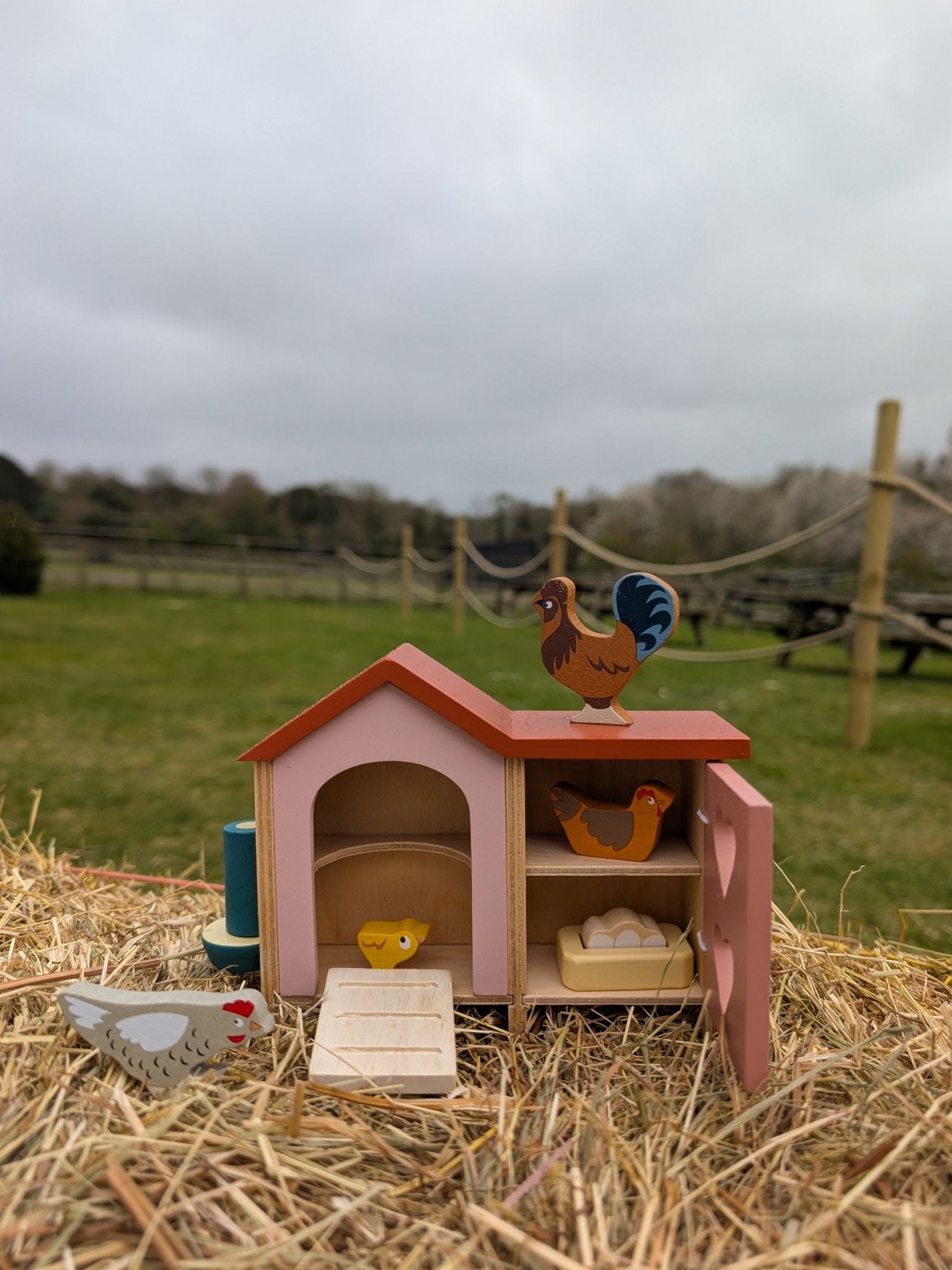 Chicken Coop - Toby Tiger UK