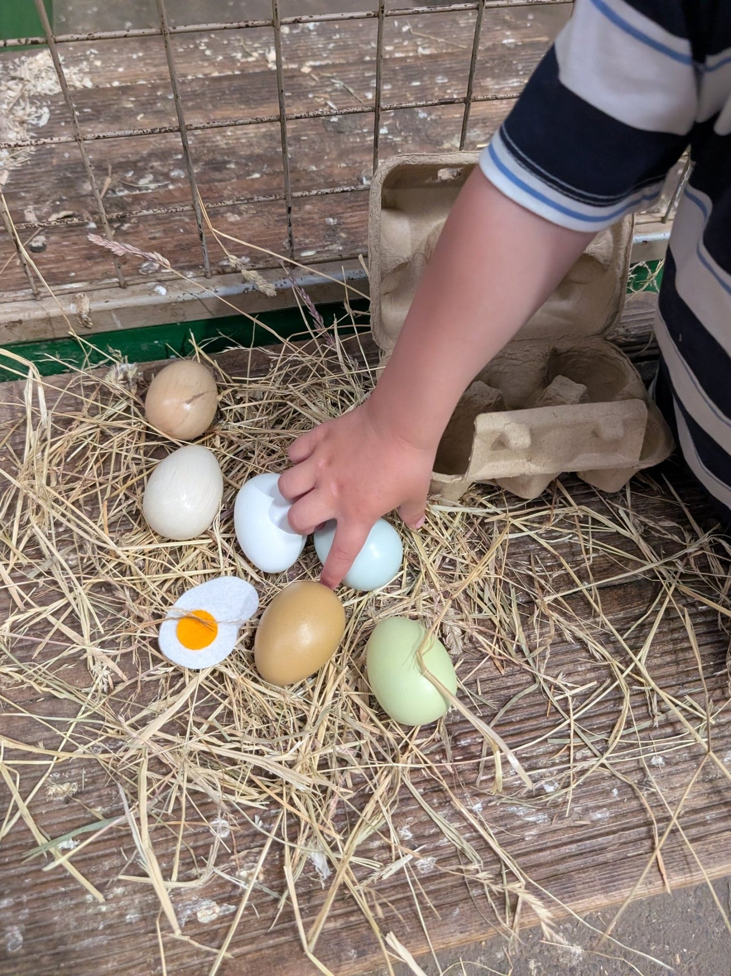 Wooden Eggs - Toby Tiger UK