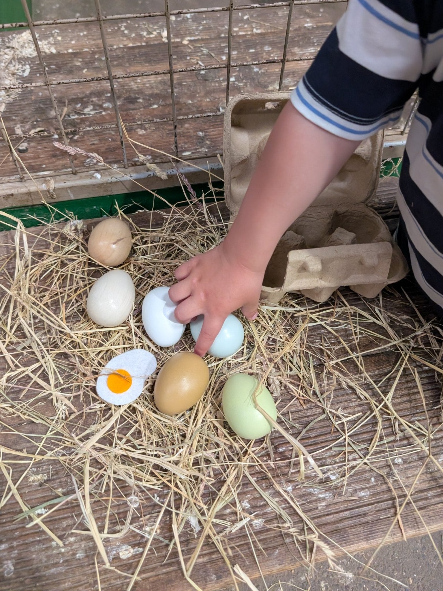 Wooden Eggs - Toby Tiger UK