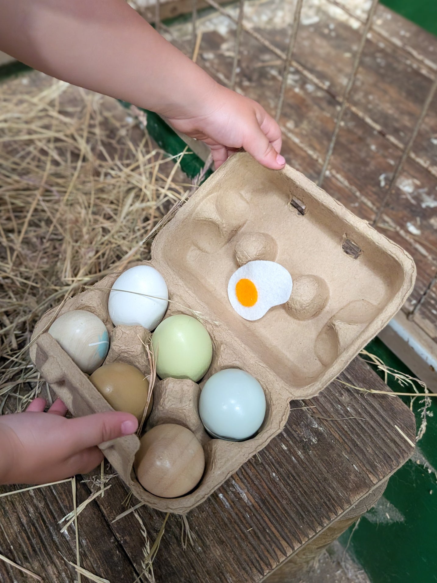 Wooden Eggs - Toby Tiger UK
