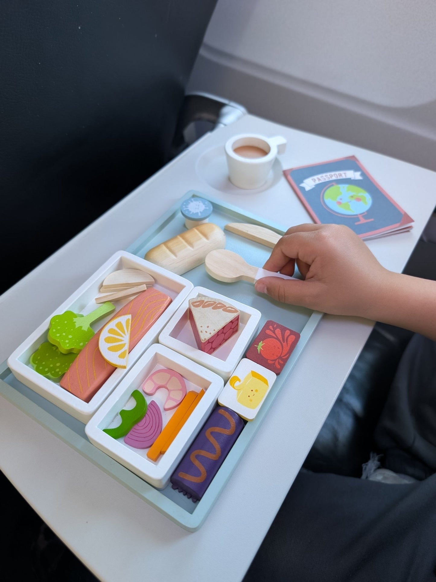Airline Meal Tray - Toby Tiger UK