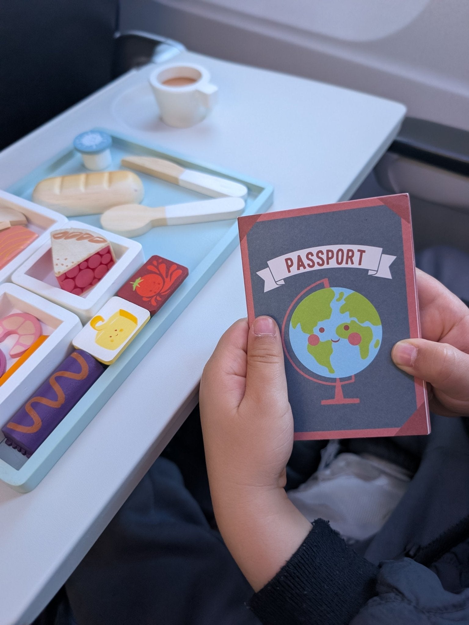 Airline Meal Tray - Toby Tiger UK