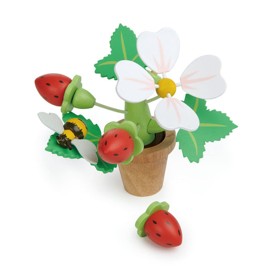 Strawberry Flower Pot - Toby Tiger