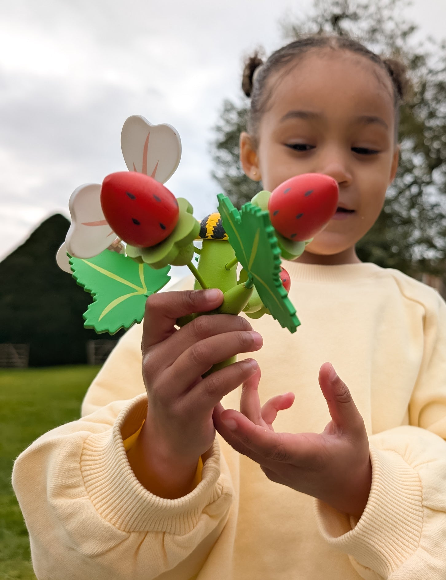Strawberry Flower Pot - Toby Tiger UK