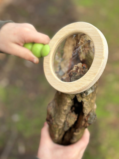 Forest Trail Kit - Toby Tiger