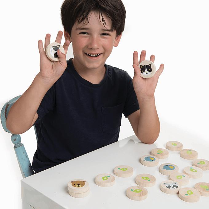 Clever Cat Memory Game - Toby Tiger