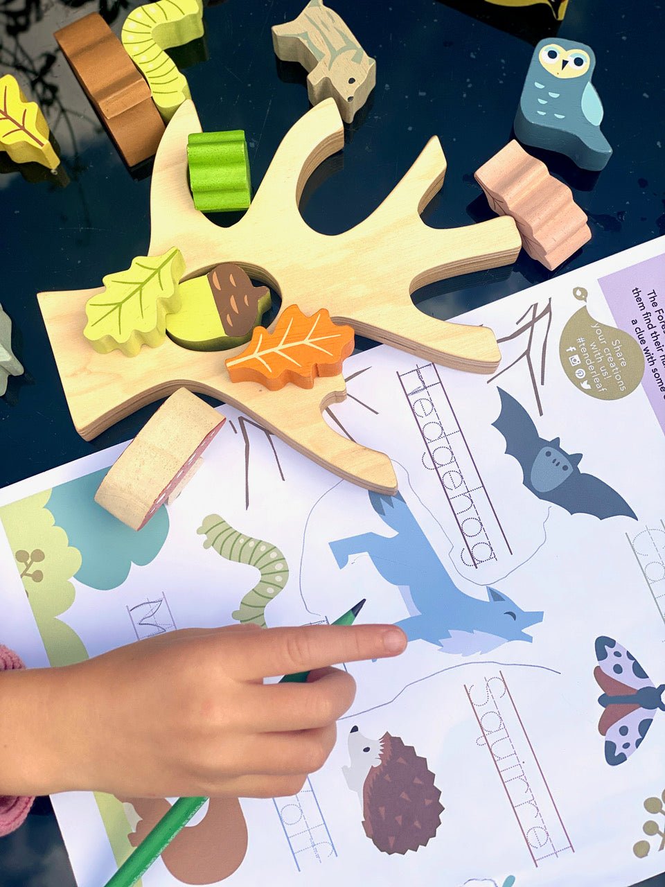 Stacking Forest - Toby Tiger