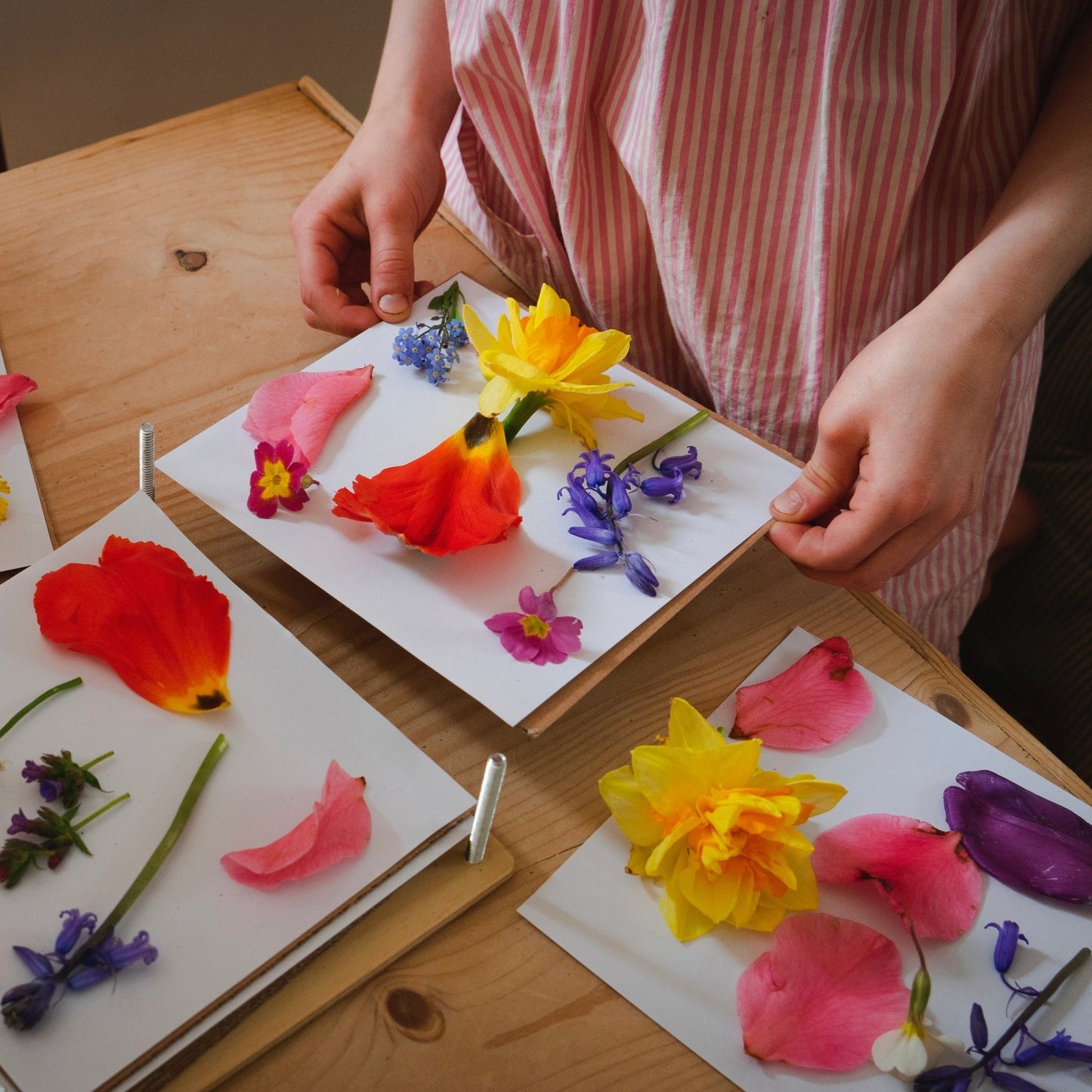 My Botanical Press - Toby Tiger