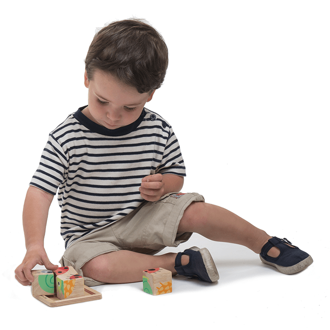 Baby Blocks - Toby Tiger