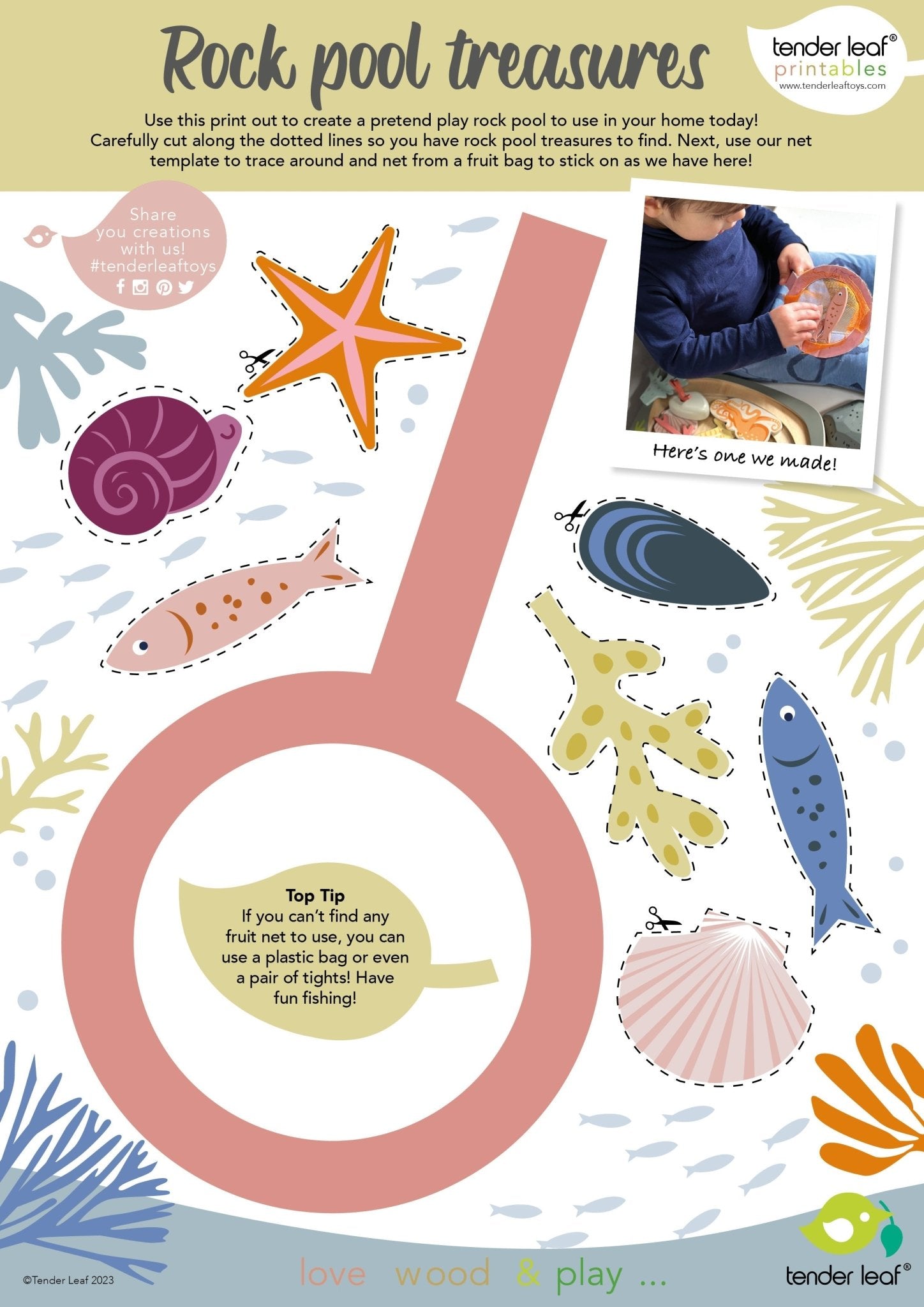 My Little Rock Pool - Toby Tiger