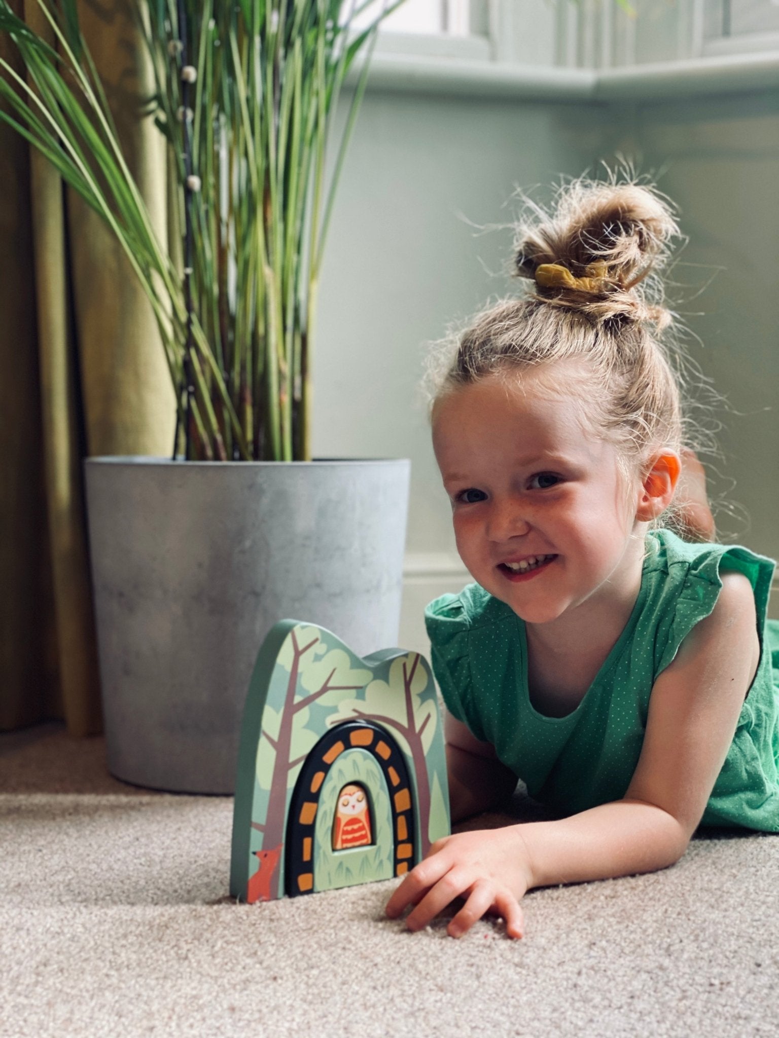 Forest Tunnels - Toby Tiger