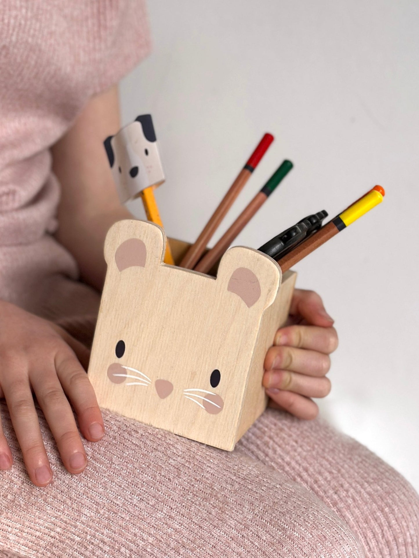 Pet Pencil Holders - Toby Tiger