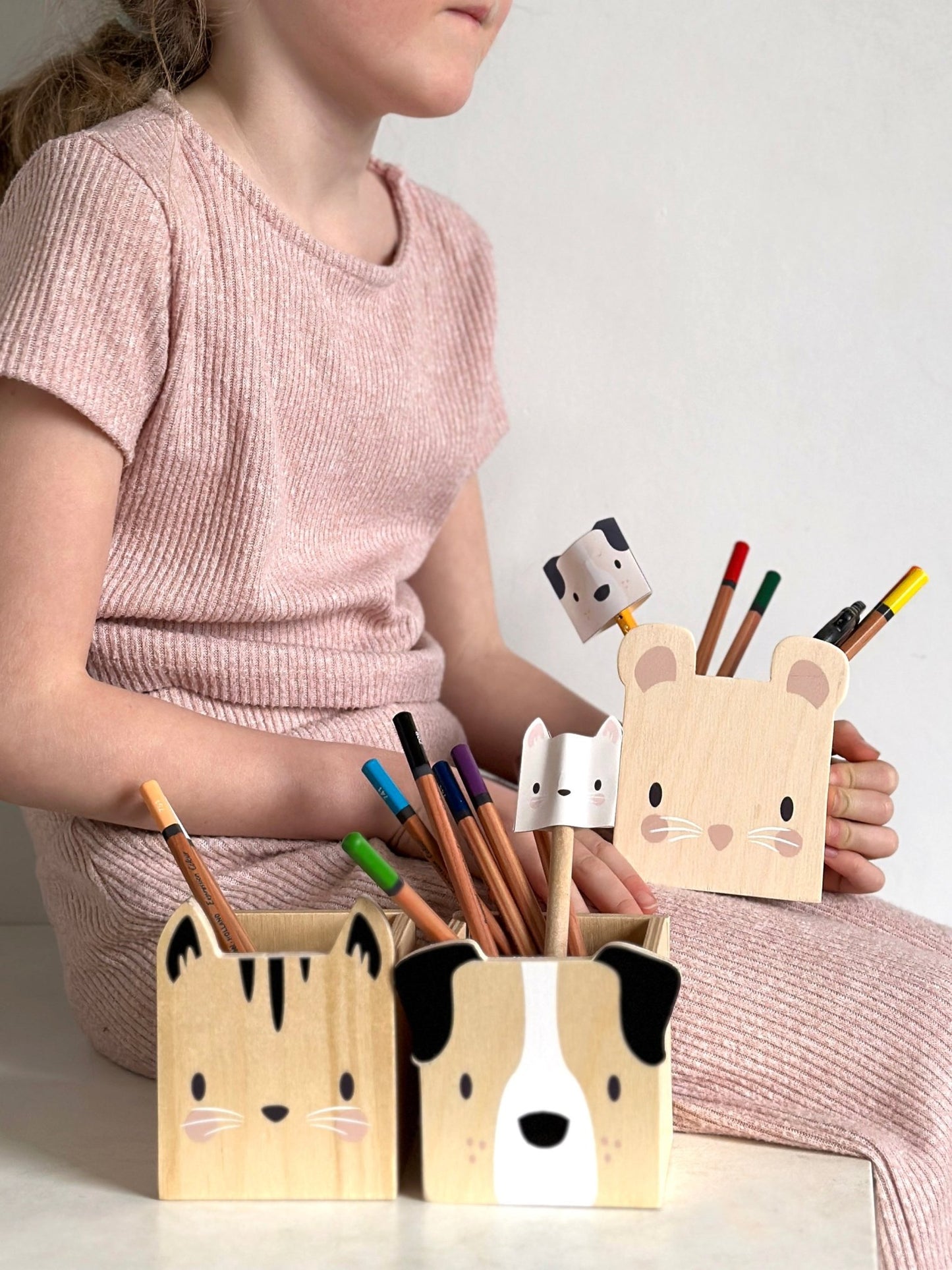 Pet Pencil Holders - Toby Tiger
