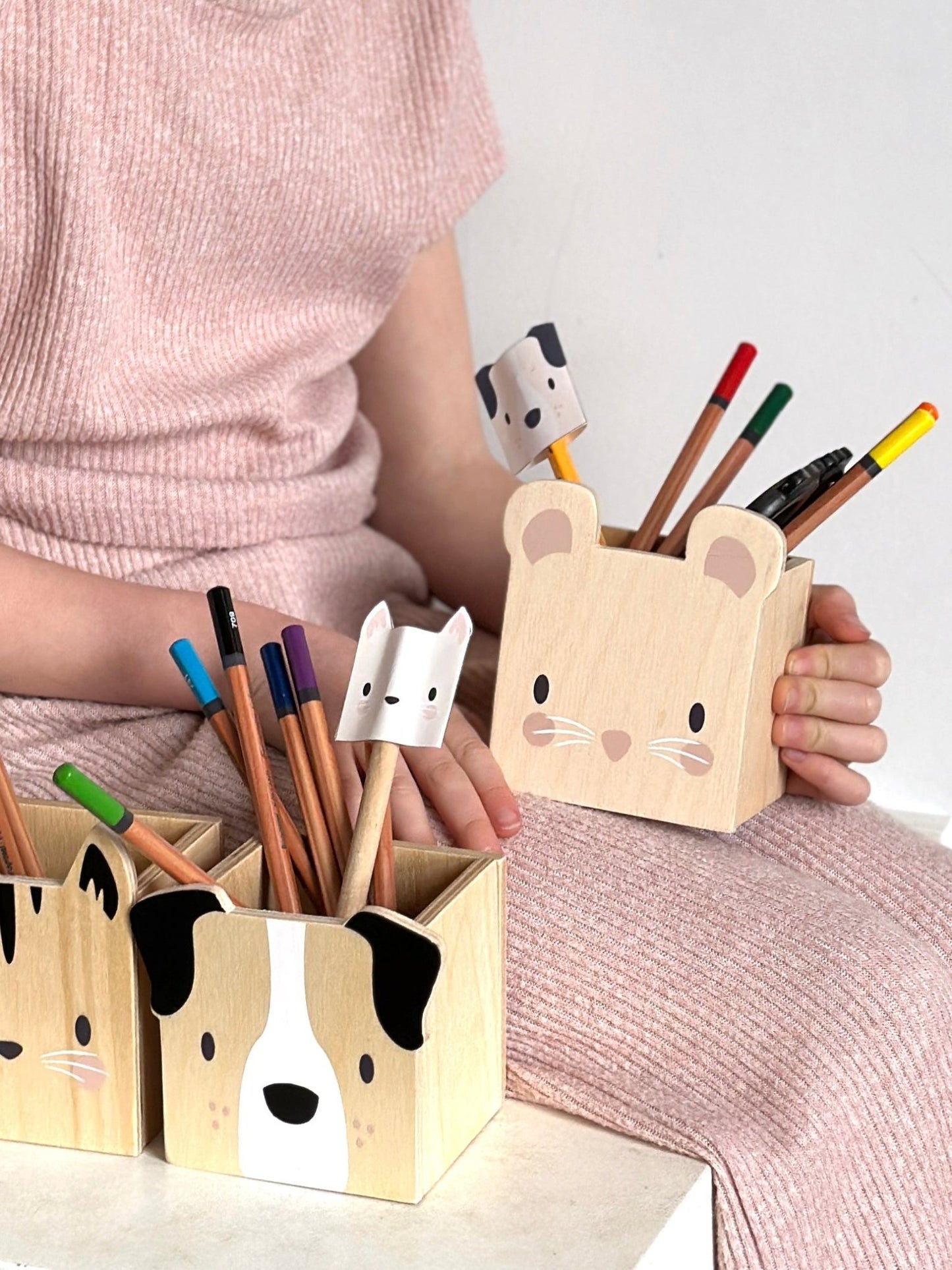Pet Pencil Holders - Toby Tiger