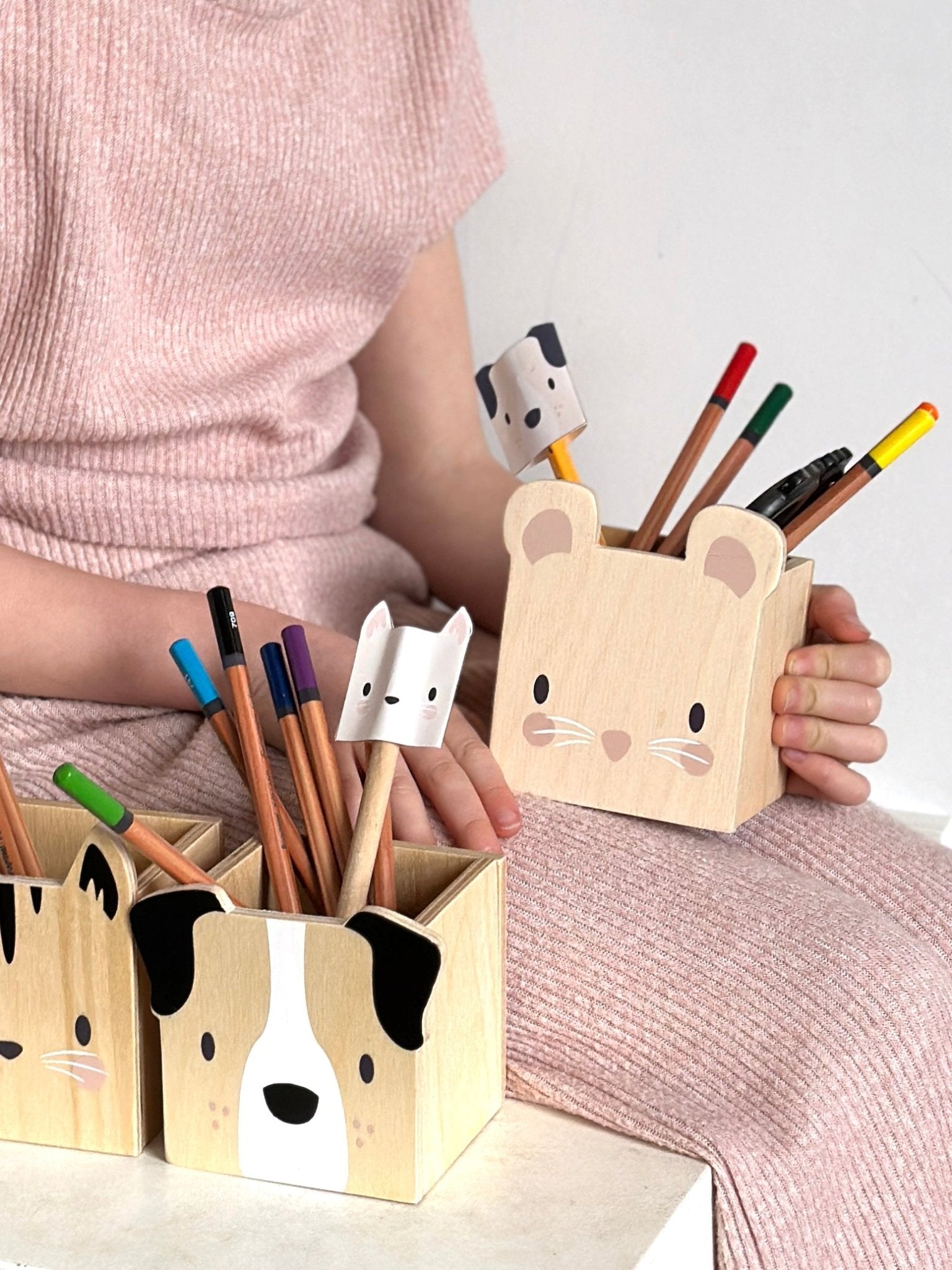 Pet Pencil Holders - Toby Tiger