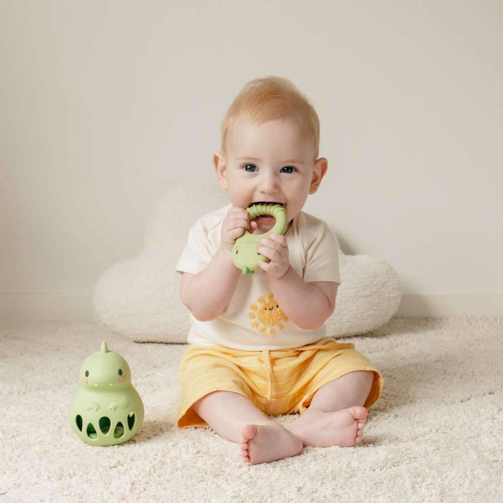 Silicone Teether - Dino - Toby Tiger