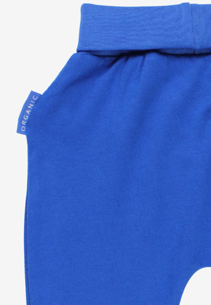 Close-up of a bright blue garment, likely a pet sweatshirt or jacket, showing the ribbed collar and a side tag that reads 'ORGANIC' in white text, set against a plain white background.