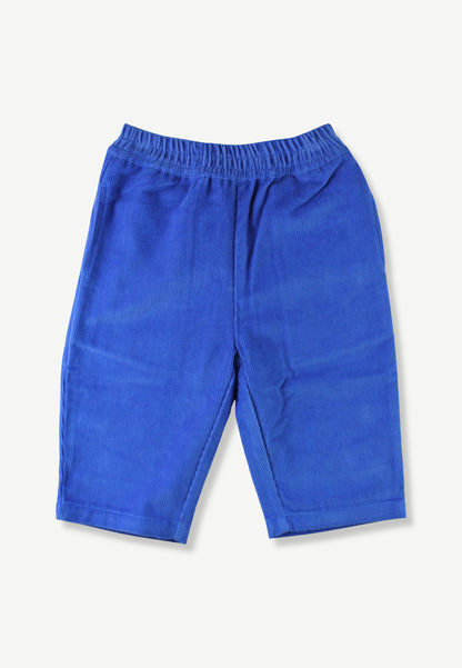A pair of bright royal blue corduroy shorts with an elastic waistband, laid flat against a light off-white background.
