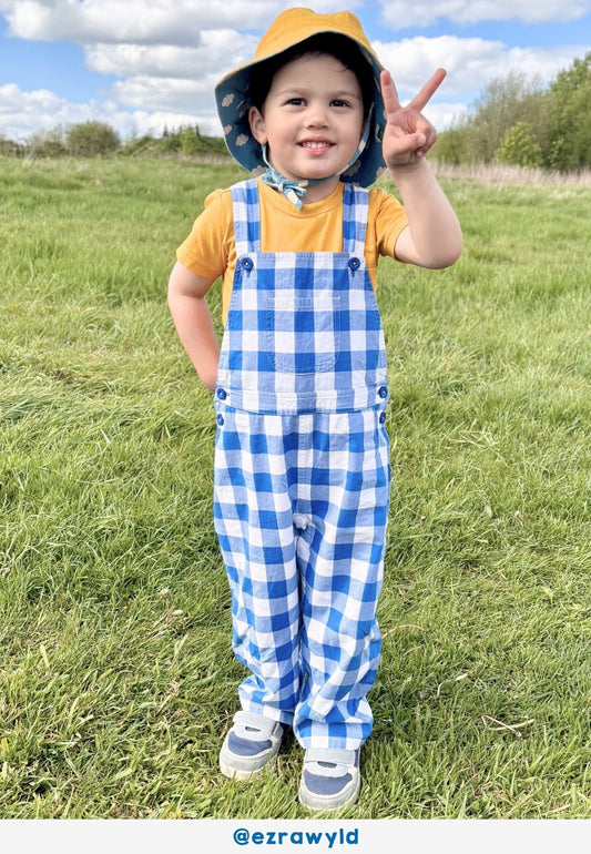 Organic Blue Gingham Woven Dungarees - Toby Tiger