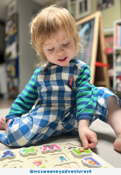 Organic Blue Gingham Woven Dungarees - Toby Tiger